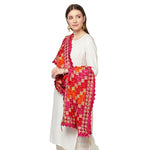 Multicolored Phulkari Dupatta Four Side Cut Work With Latkans (Tassels) By The Amritsar Store - The Amritsar Store