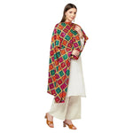 Multicolor Mirror Work Phulkari Dupatta By The Amritsar Store - The Amritsar Store