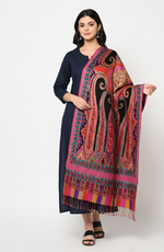 Paisley Tie-Dye Shawl with Multicolor Kashmiri Aari Embroidery