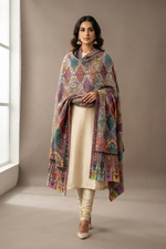 The Amritsar Store Pashmina Kalamkari Shawl,Hand Embroidered,Multicolor
