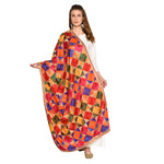Multiple Hues Phulkari Dupatta without Mirror Work by The Amritsar Store - The Amritsar Store
