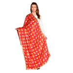 Multicolor Enchanting Bagh Embroidery Phulkari Dupatta By The Amritsar Store - The Amritsar Store