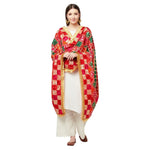 Zig Zag Multicolored Gotta Patti Phulkari Dupatta By The Amritsar Store - The Amritsar Store