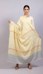 “The Amritsar Store Classic Kashmiri Self-Wool Shawl for Women – Soft, Warm & Elegant Winter Wear”