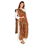Multicolored Thread Embroidery Phulkari Full Jaal Dupatta By The Amritsar Store - The Amritsar Store