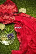 The Amritsar Store Phulkari Saree – Hand Embroidered Red Chinnon Chiffon, Traditional Punjabi Ethnic Attire