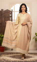 The Amritsar Store women’s elegant reversible shawl in taupe with subtle striped design