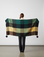 The Amritsar Store classic teal and brown check scarf for women, soft winter accessory