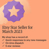 The Amritsar Store Shines as an Etsy Star Seller!