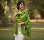 The Amritsar Store Phulkari hand embroidered green shawl with magenta border showcasing traditional Punjabi craftsmanship
