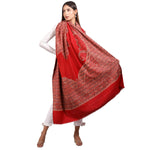 Kashmiri Shawl For Women, Lightweight Shawl With Four Side Border & Paisley Design Weaved With Wool, Shawl For Women - The Amritsar Store