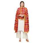 Zig Zag Multicolored Phulkari Dupatta With Four Side Golden Lace & Mirror Work By The Amritsar Store - The Amritsar Store