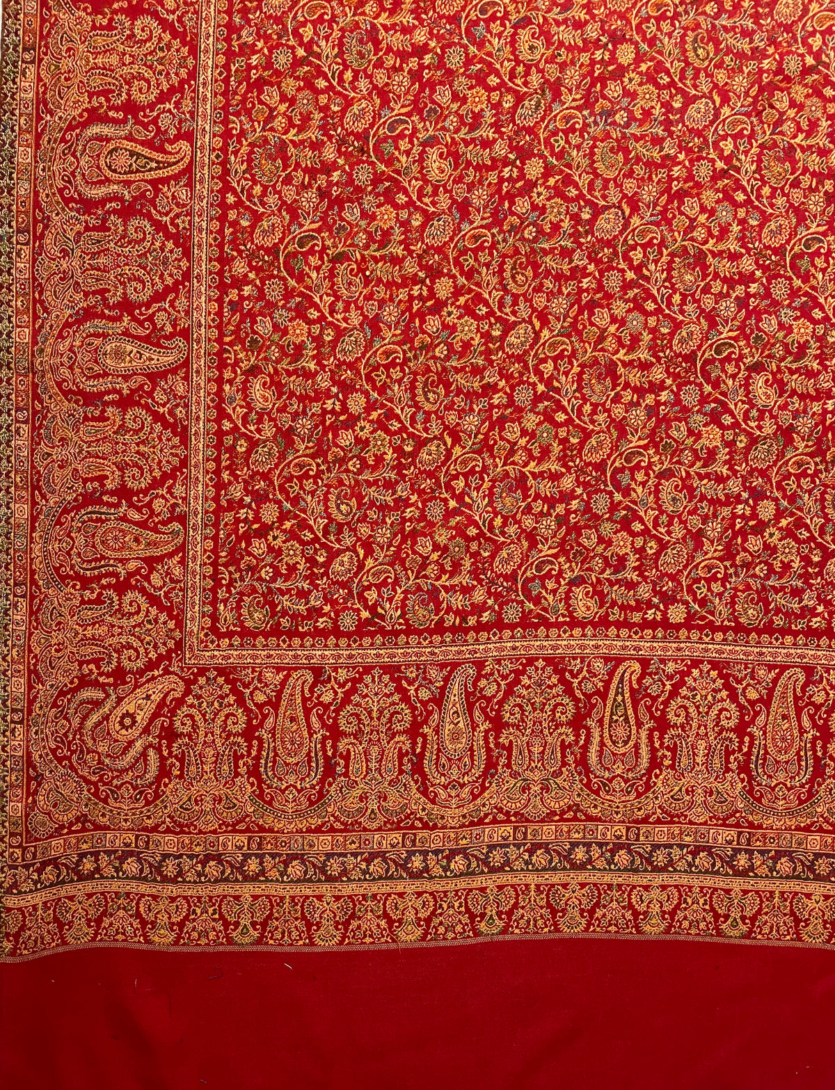"The Amritsar Store Fine Wool Jaal Weave Shawl – Intricate Paisley Design